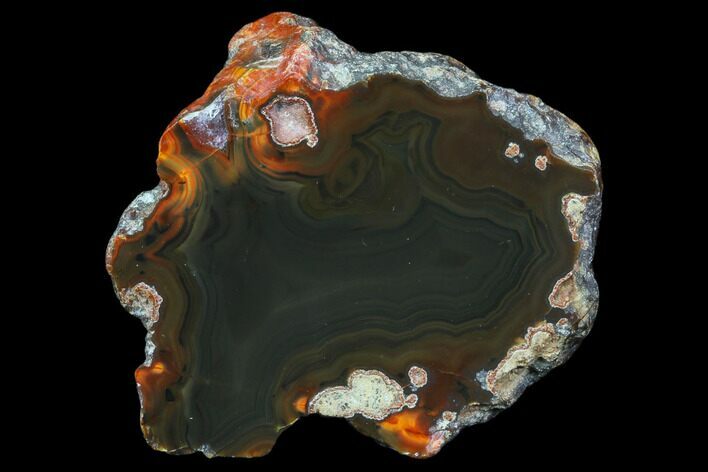 Condor Agate From Argentina - Cut/Polished Face #79464